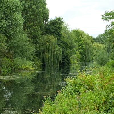 金年会app官方网址