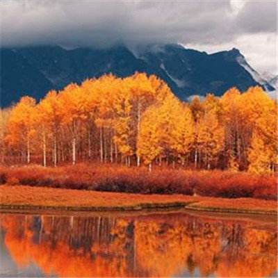 BSport·APP在线登录